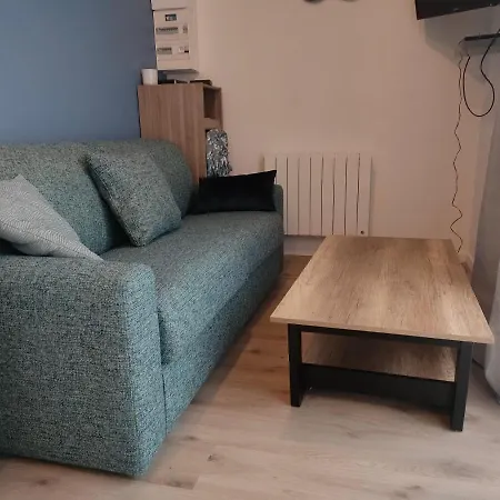 Super Studio Rez De Jardin Avec Exterieur Lozanne Exterior foto